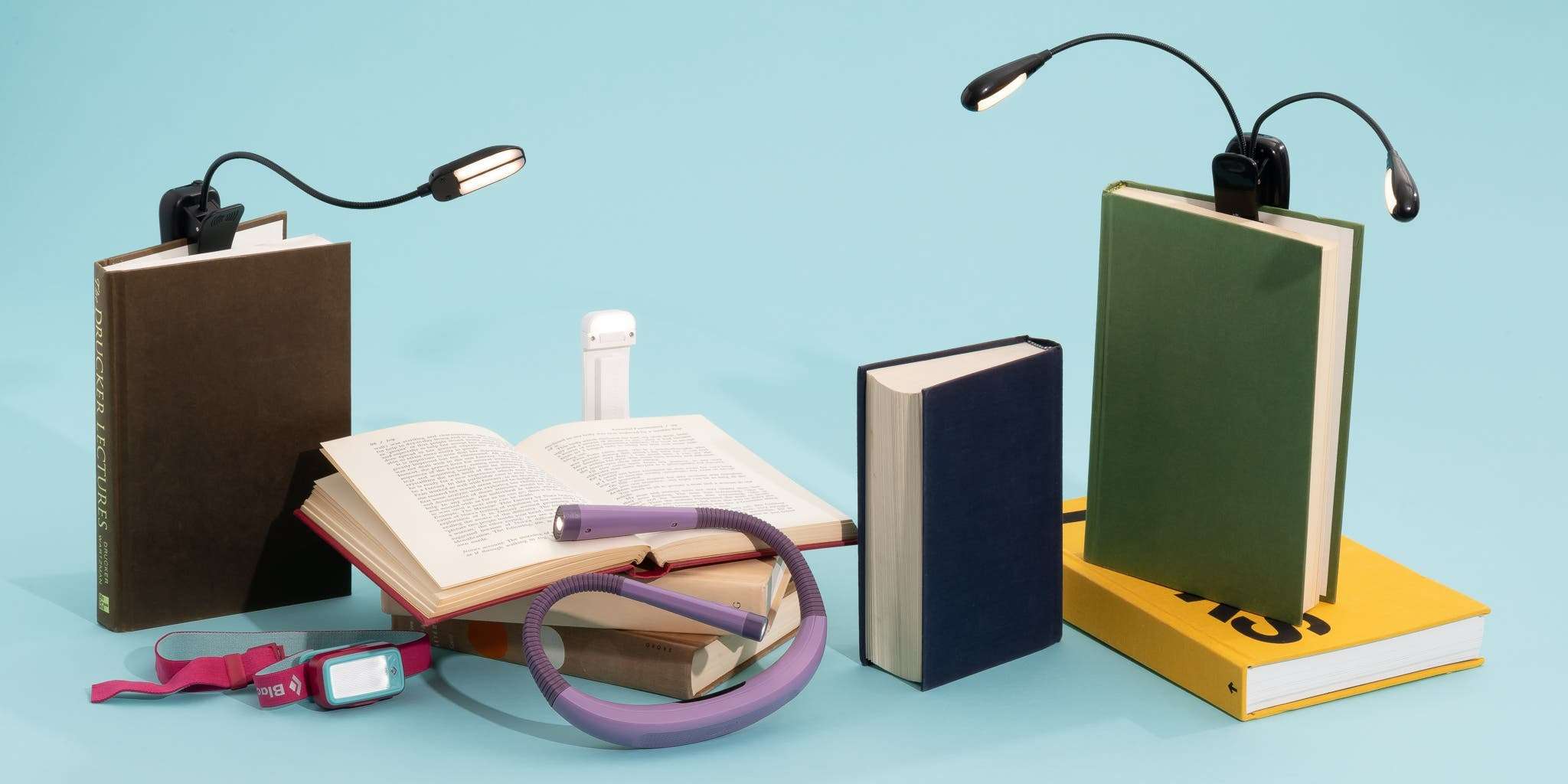 10 Best Reading Lights 2026