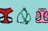 Top 10 Best Dog Harnesses 2026
