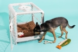 Top 10 Best Dog Kennels 2026