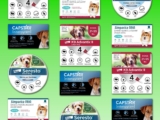 Top 10 Best Pet Flea and Tick Preventions 2026