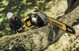 Top 10 Best Pole Saws 2026